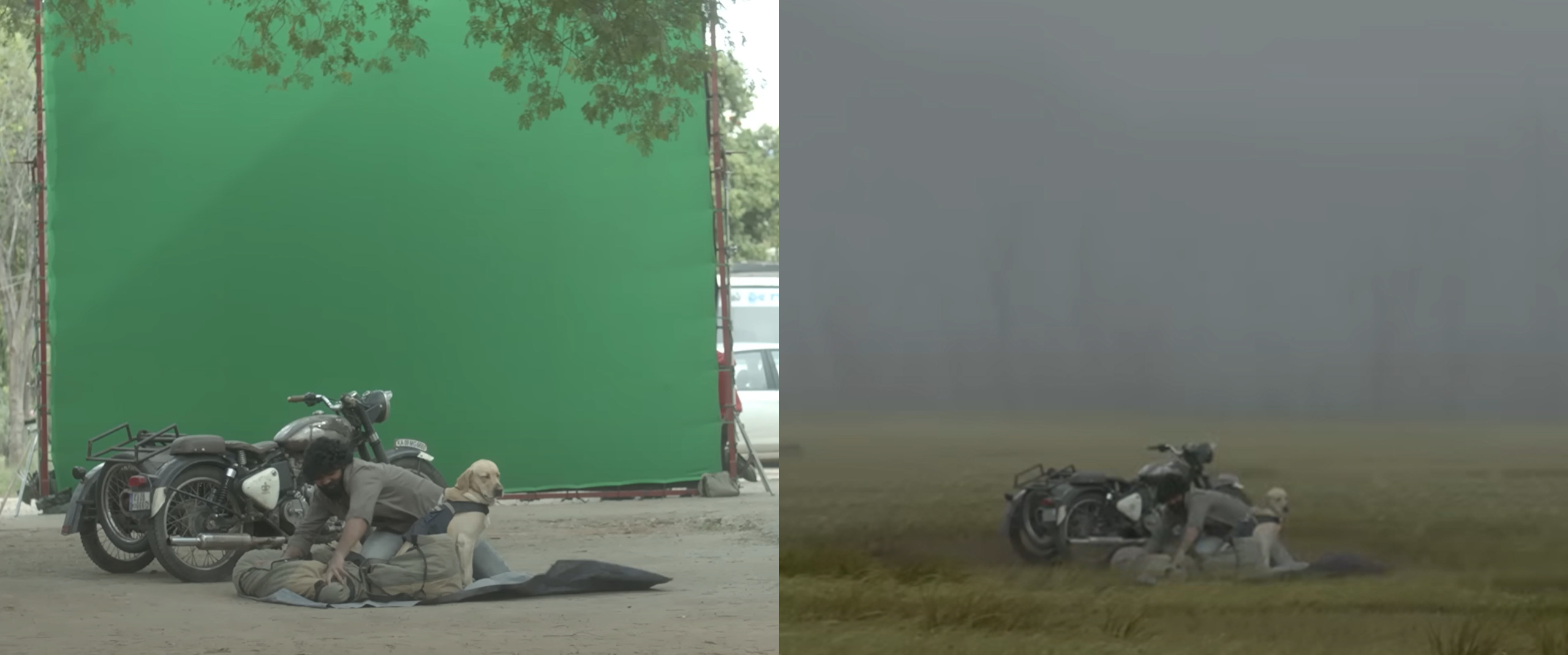 The invisible VFX in '777 Charlie' (2022) by Pinaka Studios - Mayalu ...